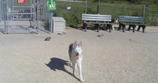 West Bend Dog Park